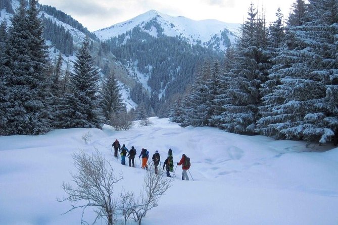 1-day Backcountry Tour - Key highlights