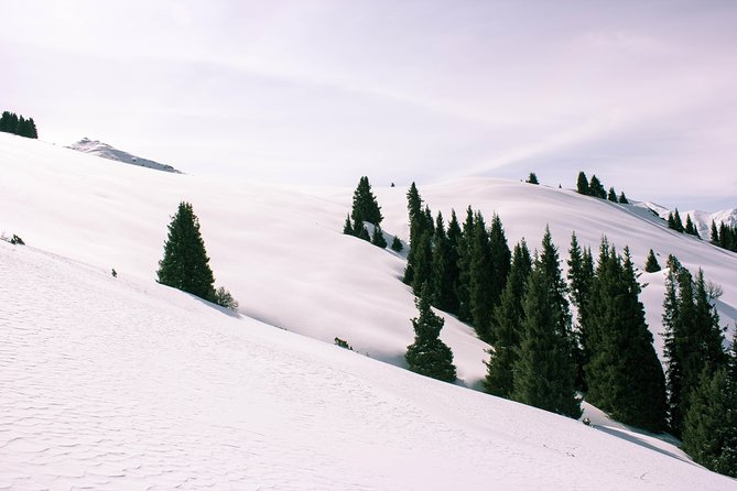 1-day Backcountry Tour - Meeting in Almaty: Sadovaya at 8:00 and Pickup That Helps