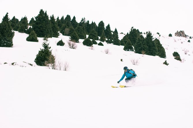 1-day Backcountry Tour - Price and Value: Is $156.49 for One Day Fair?