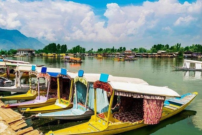 5-Days Kashmir tour includes Accommodation and Private Transportation - Key moments worth planning around