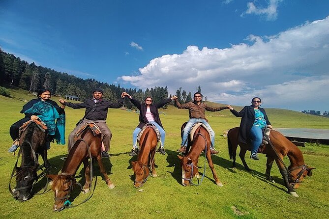 6 Days Private Tour in Kashmir - Pahalgam and the surrounding valleys: saffron country, Betab Valley, Aru, Baisaran
