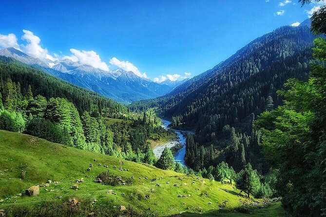 6 Days Private Tour in Kashmir - Price and value check: what $337.07 covers (and what to budget for)