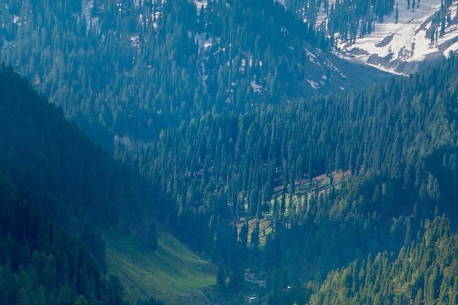 6 Days Private Tour in Kashmir Valley - Day 2 around Pampore, Awantipora, and Baisaran’s Mini Switzerland feel
