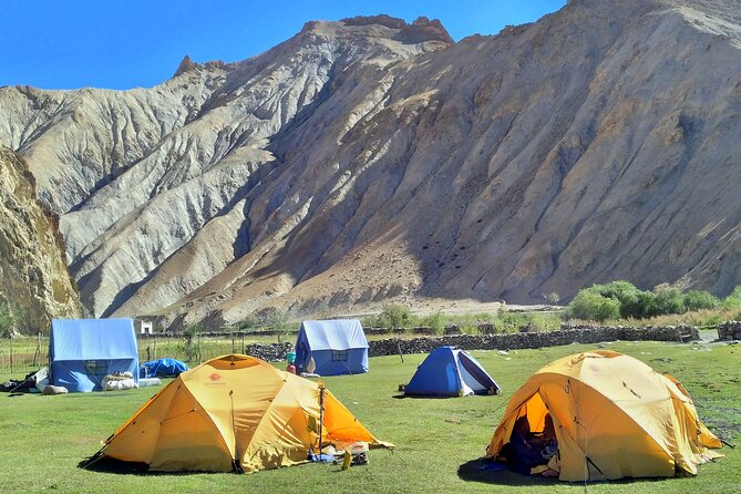 8 Days Markha Valley Trek: Shared Tour with Meals Included - Quick hits for planning your Markha Valley trek