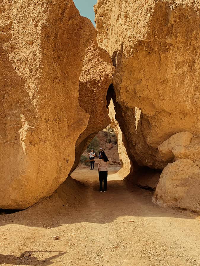Almaty: Kolsay & Kaindy Lakes, Charyn Canyon Private Tour - Black (Lunar) Canyon: the short stop that keeps your eyes awake