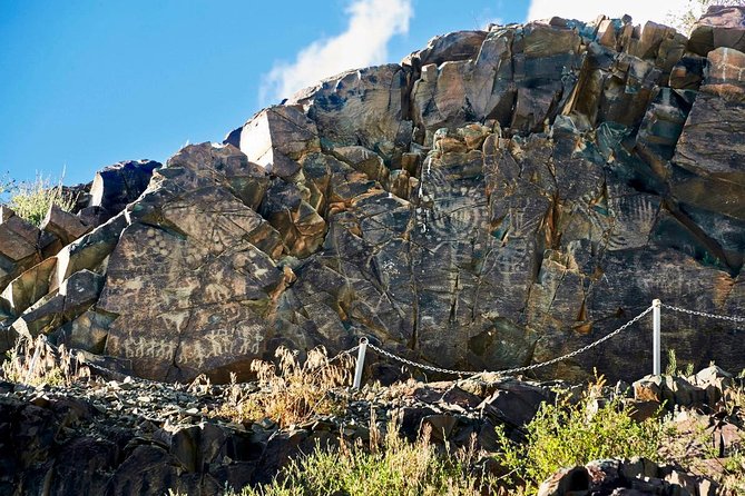 Ancient petroglyphs of Tanbaly - UNESCO World Heritage - Morning Drive to Tamgaly Gorge: Why the Journey Matters