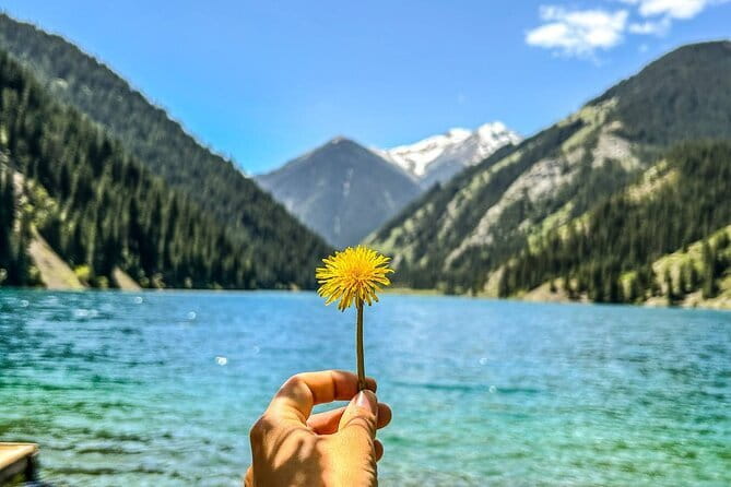 Charyn Kolsay Kaindy Private Tour - Stop 3: Kolsai Lake walking, optional boat time, and Kazakh lunch with a view