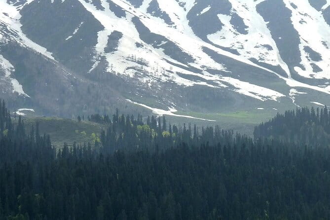Exotic Kashmir Package - Day 4 to Pahalgam: Shepherd Valley + Saffron Fields and Ruins