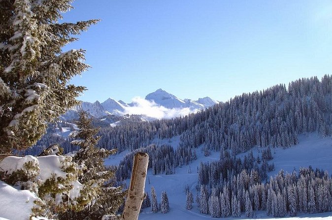 Exotic Manali Package - Solang Valley on Day 3: snow views plus paid activities