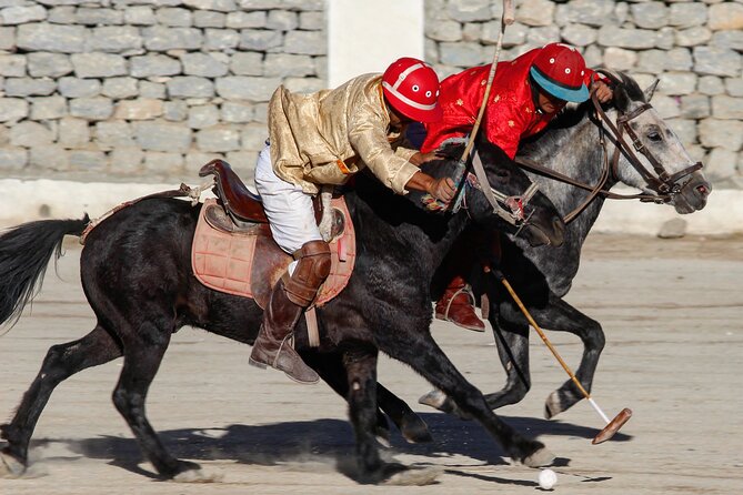 Ladakh 5-Star Premium Tour 7 Days - Luxury, altitude care, and a gentle Day 1 in Leh