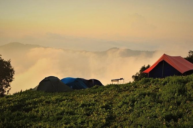 Nag Tibba 2 Days Trek (Pantwari to Pantwari) - Key things I’d circle before you go