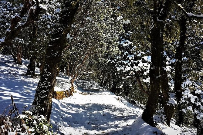 Nag Tibba 2 Days Trek (Pantwari to Pantwari) - Day 2 to Nag Tibba peak: views you can name