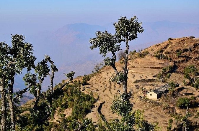 Nag Tibba 2 Days Trek (Pantwari to Pantwari) - Who should book this trek (and who might want a gentler option)