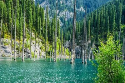 One day Private Tour to Charyn Canyon, Kaindy and Kolsay Lakes - Stop 2: Kaindy Lake and the Flooded Forest Mystery