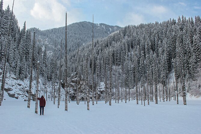 Private DayTour - Pearl Lakes Kolsai & Kaindy (Flooded Forest) via Charyn Canyon - Who This Private Tour Fits Best