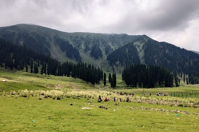 Private Kashmir Family 7-Day Tour - Srinagar houseboat nights and a shikara ride that sets the tone