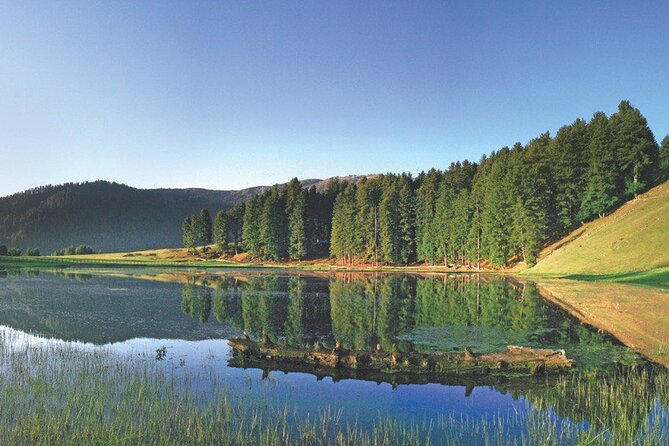 Private Kashmir Family 7-Day Tour - Price and value: $635.79 per person, and what that actually covers