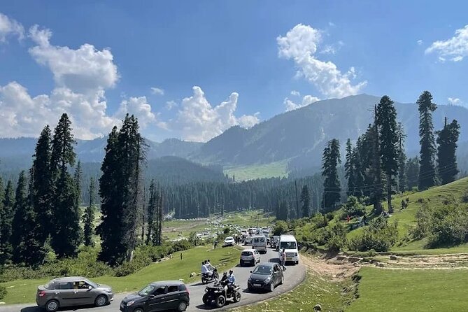Private Kashmir Family 7-Day Tour - Awantipora ruins and saffron fields on the drive to Pahalgam