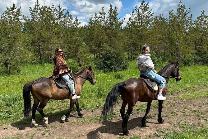 Private Yurt Tour with Horses: Immerse into Kazakh Culture - Why a private yurt tour near Nur-Sultan feels different