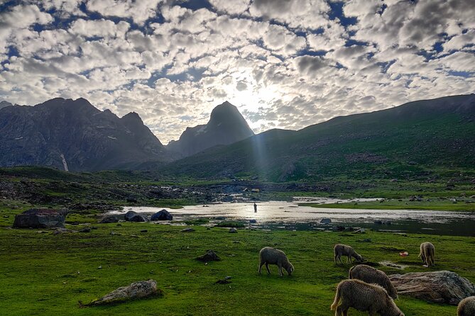 The Best Monsoon Trek: Kashmir Great Lakes - Zaj Pass and Gangabal Lake: cooler air, longer effort (Day 6)